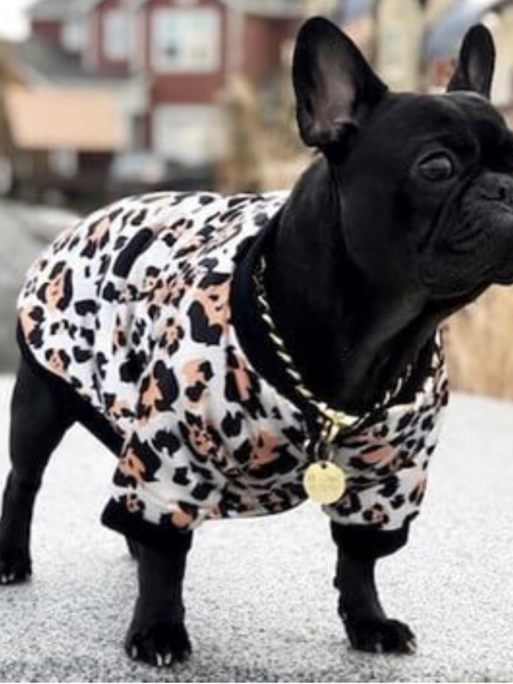Fashion Pet signature leopard fleece jacket